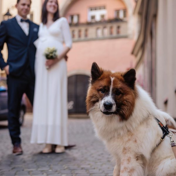 Hochzeit Theresa und Tim im Standesamt Regensburg